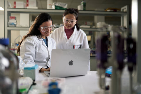 Researchers looking at computer in pharmacy lab