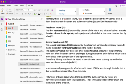 OneNote sceenshot