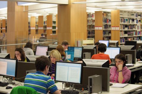 Students in McClay Library