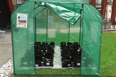 Polytunnel in the David Keir Building quad