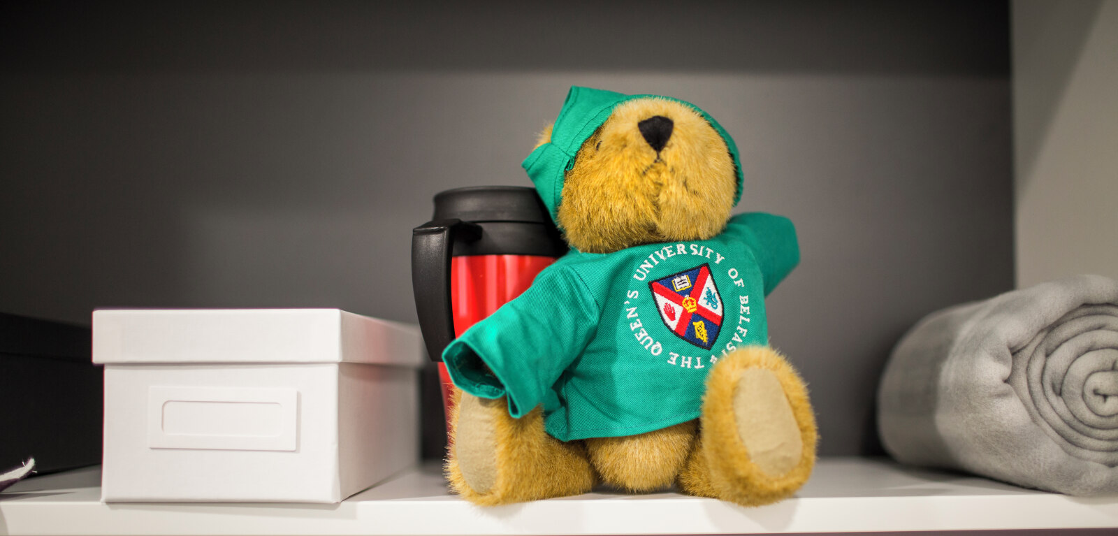 Queen's teddy on shelf in accommodation