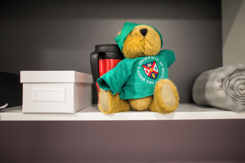 Queen's teddy on shelf in accommodation