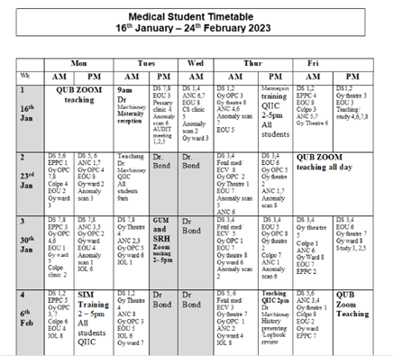Year 4 medical student timetable