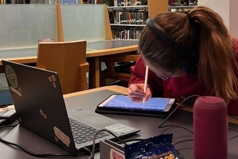 Student studying in McClay