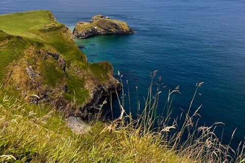 Carrick a rede rope bridge