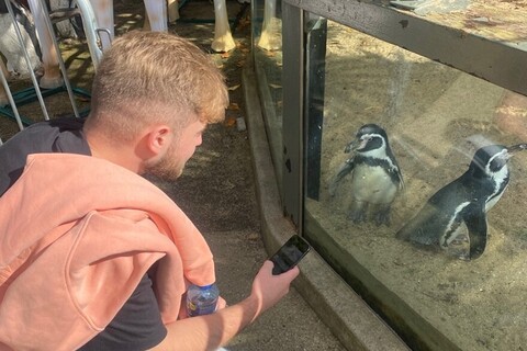 Student visiting Dublin Zoo