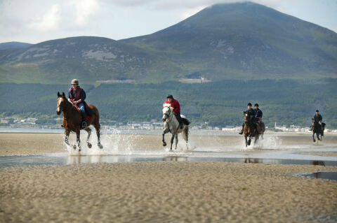 People riding horses on Newcastle beach