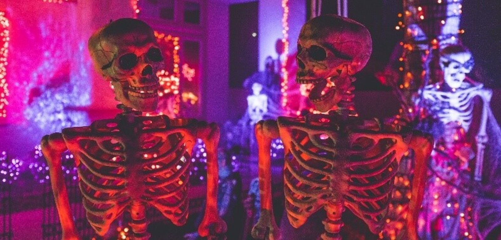 Two skeletons