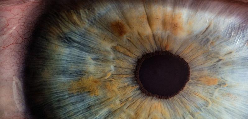 Close up of human eye