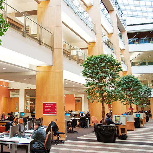 Computer study area in the McClay library