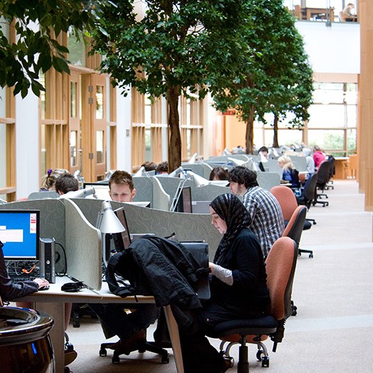 Students working in the computer study area of the McClay library