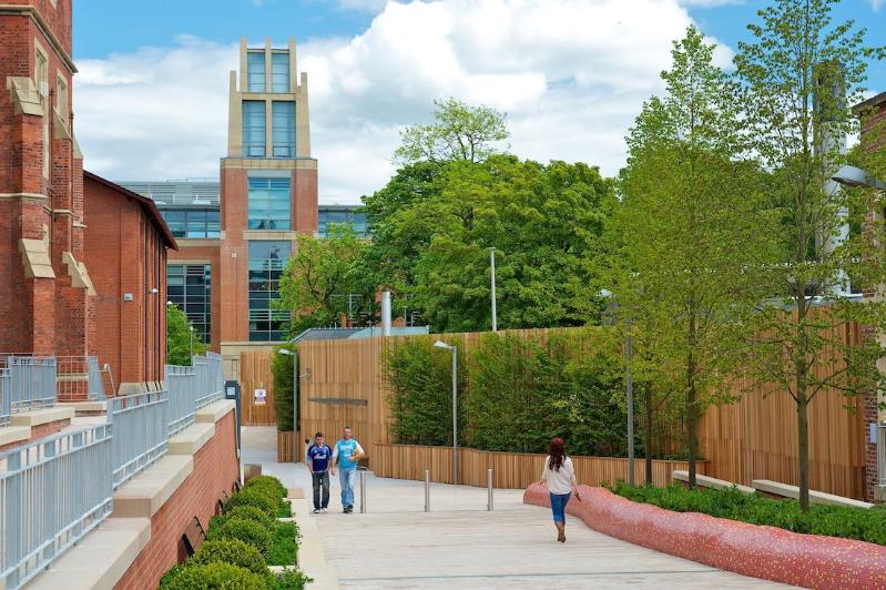The path leading to the McClay Library