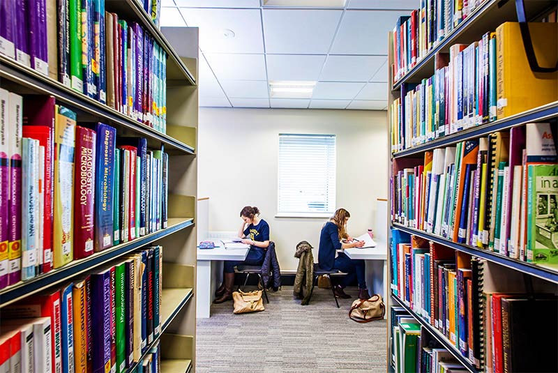 two students sitting at desks in the background with two bookcases in the foreground