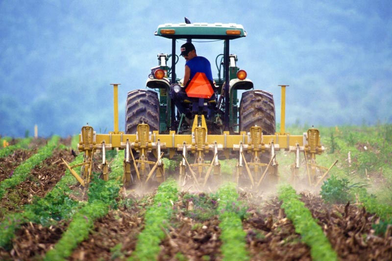 farmer driving a tractor through a field of crops