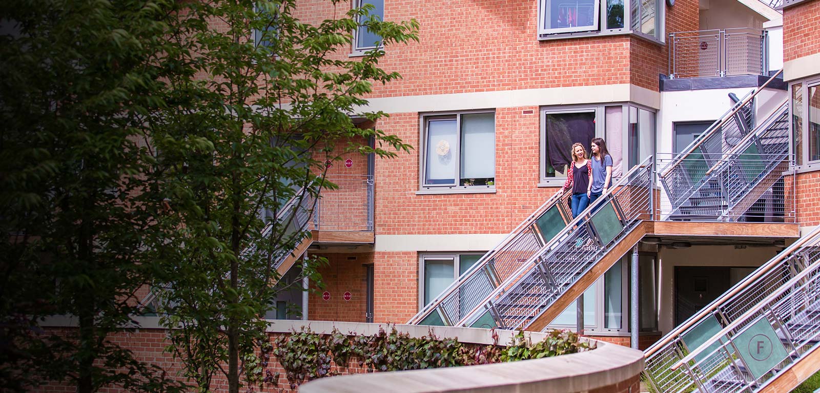 Accomm banner - students on steps