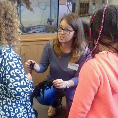 Queen’s Marine Laboratory’s fourth annual Open Day offered public the chance to see local marine life, a hermit crab shell-changing station, microscopes, underwater cameras and the wave tank facility.