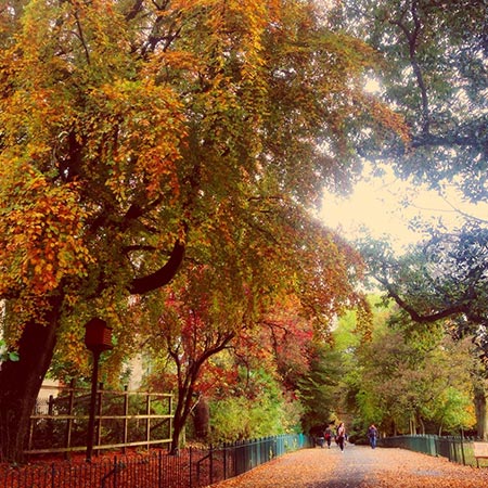 Botanic garden in autumn