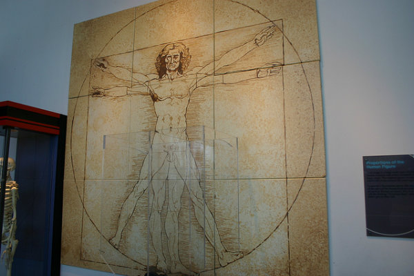 Da Vinci Human Image