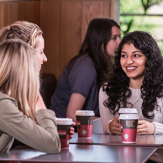 Civic Culture and Intercultural Dialogue