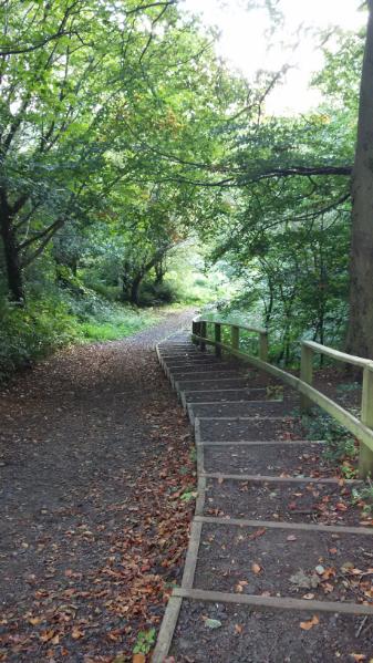 Lagan towpath