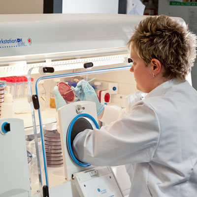 Food research facilities anaerobic workstation 400x400