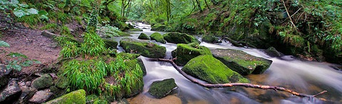 Colin Glen Forest Park