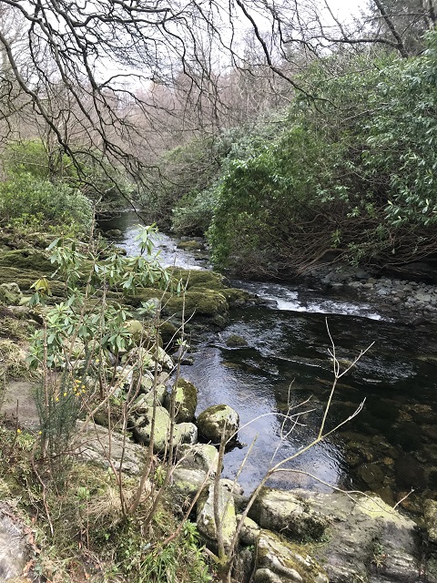 Tollymore river