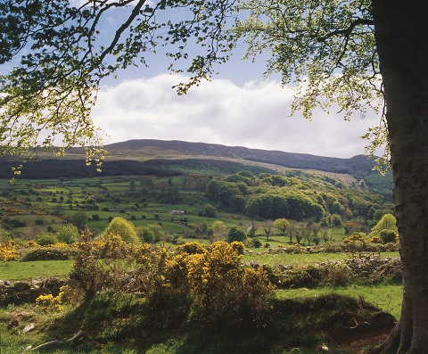 Slieve Gullion