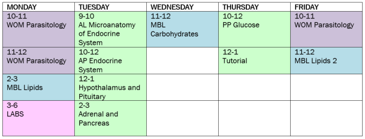 sample timetable