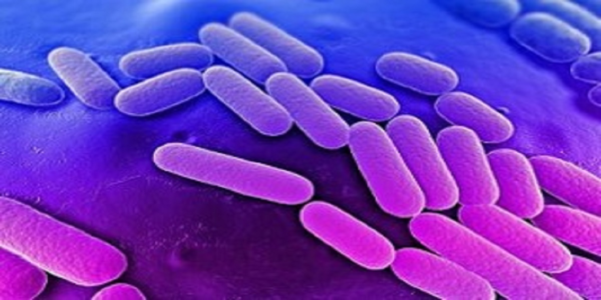 News Article Klebsiella Pneumoniae