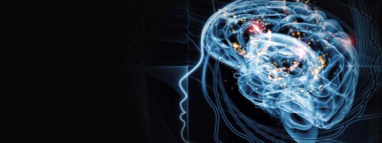 Psychology-Banner-Abstract-head-brain