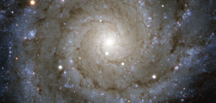 Supernova