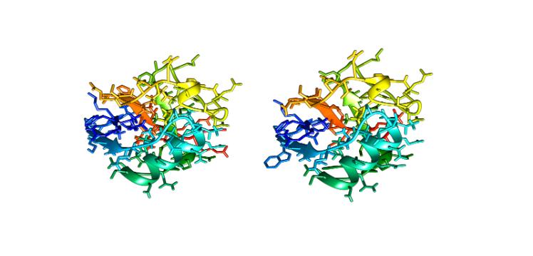 Gut bacterium and autoimmune diseases