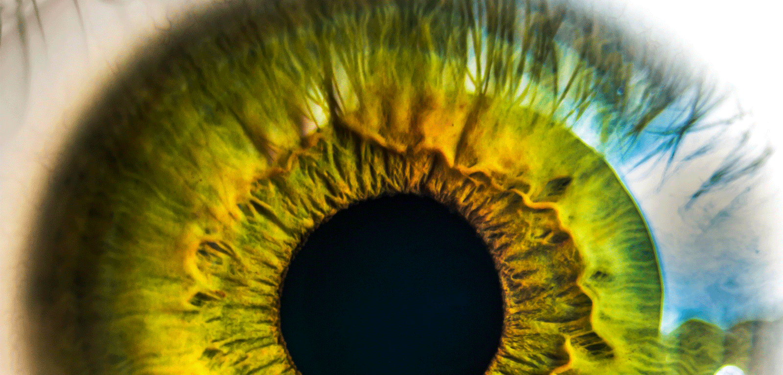 Close up of eye