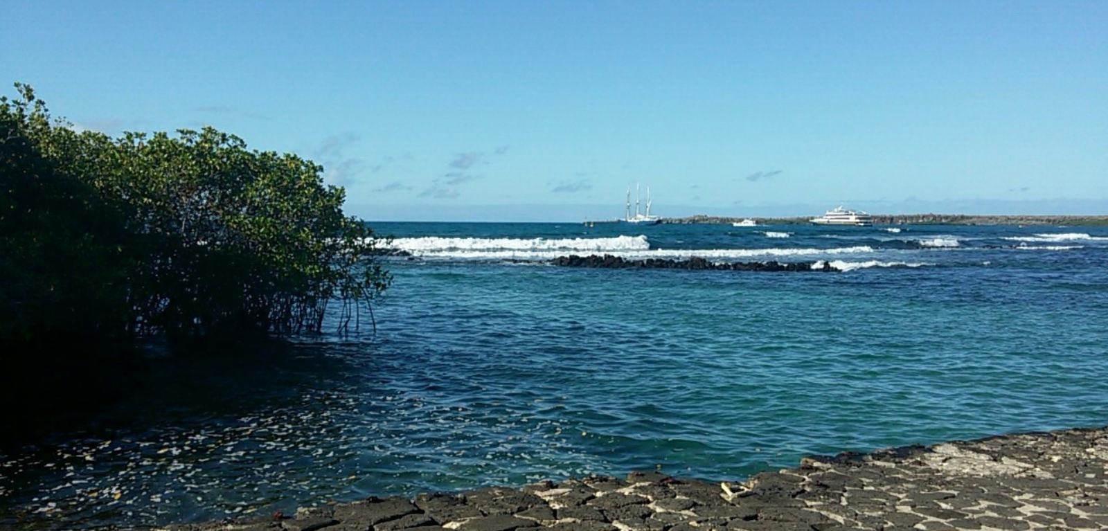 Galapagos Study Abroad