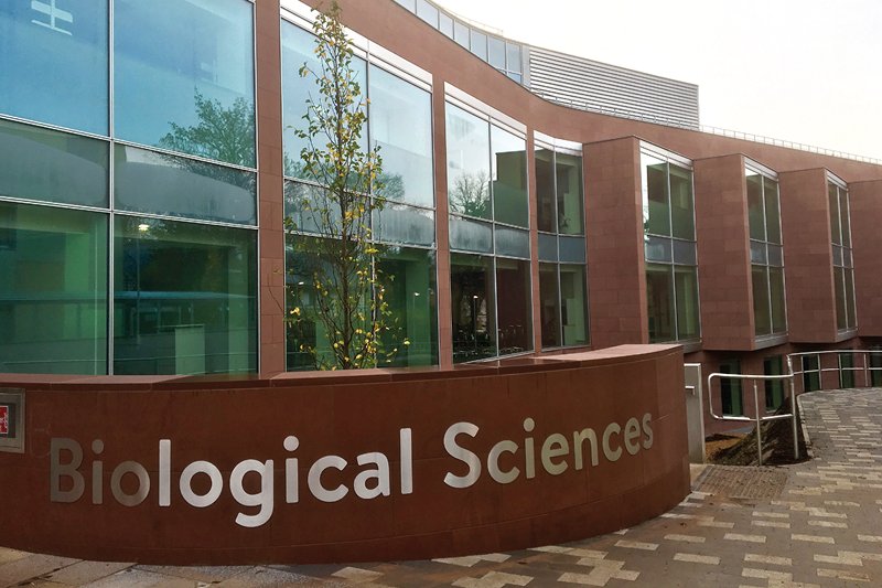 Biological Sciences 800 533