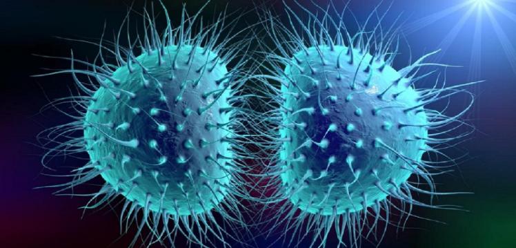 Meningococcal meningitis