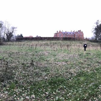 View of site taken from southern tree boundary