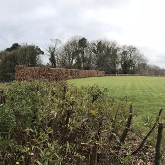 View of site taken from upper lawn area