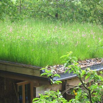 Grass roof example
