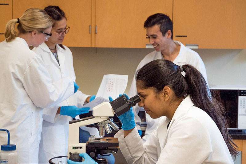 Student looks at samples in a magnifying glass