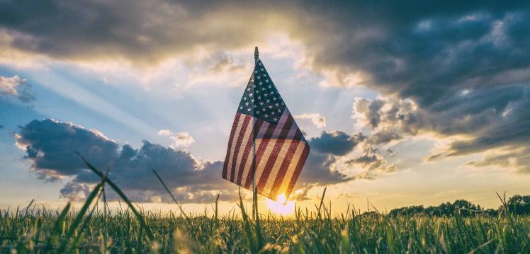 USA flag planted in the ground