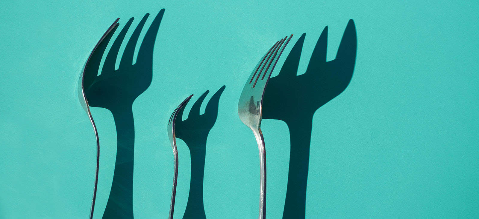 Forks on a turquoise background