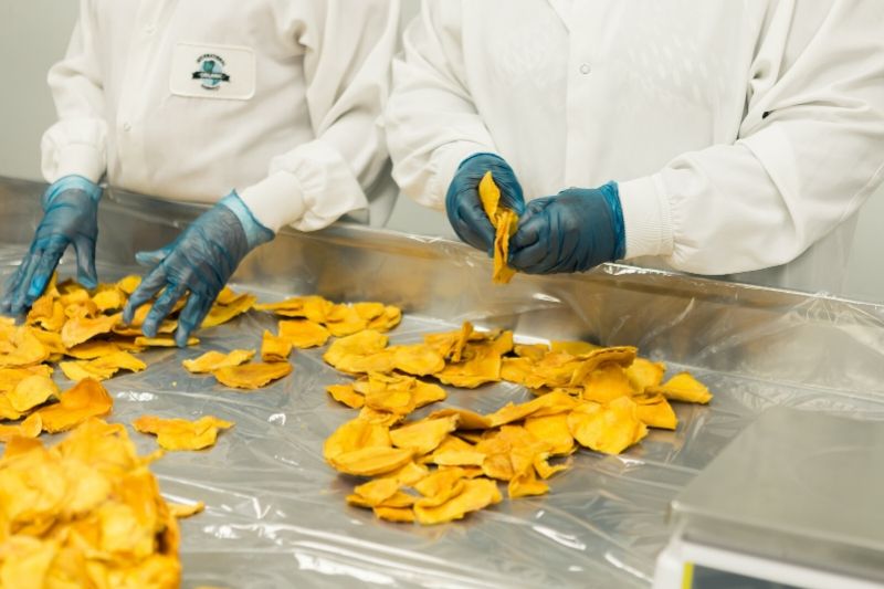 2 people working at quality control in a factory