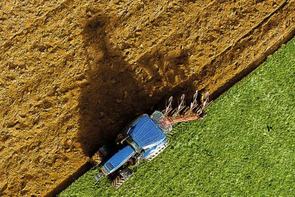 Tractor in a field