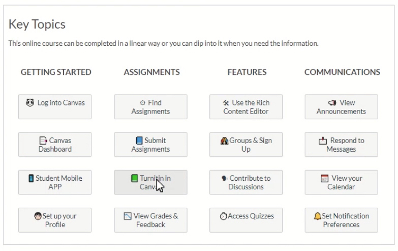 Screenshot of the Canvas VLE interface