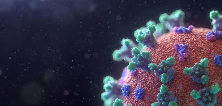 Picture of a virus cell