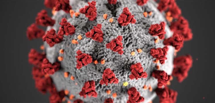 Close up view of a virus 