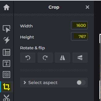Pixlr screenshot resizing options