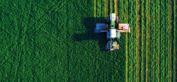 Tractor in a field